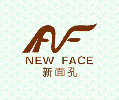 新面孔 NEW FACE