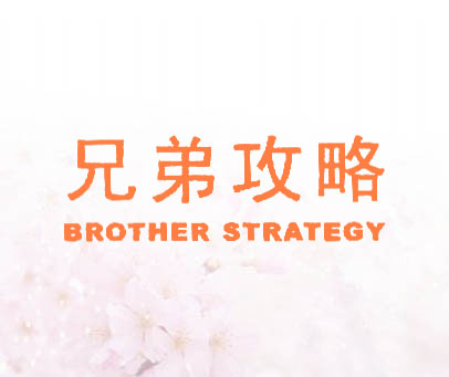 兄弟攻略 BROTHER STRATEGY