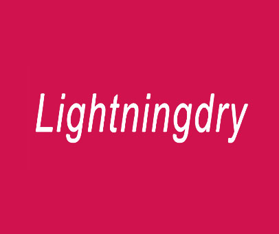 LIGHTNINGDRY