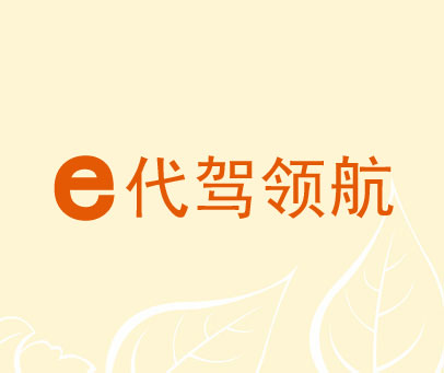 E代驾领航