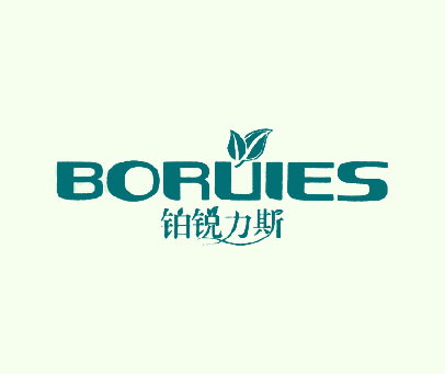 铂锐力斯 BORUIES