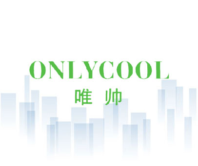 唯帅-ONLYCOOL