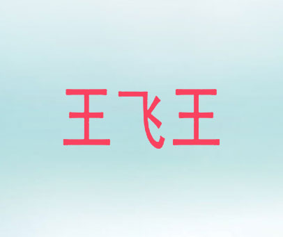 王飞王