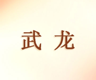 武龙