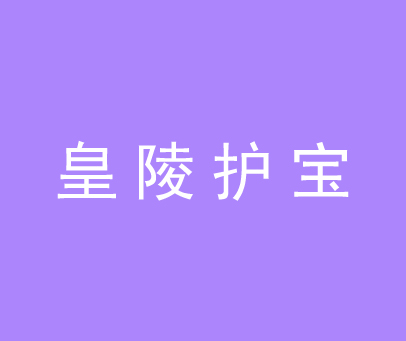 皇陵护宝
