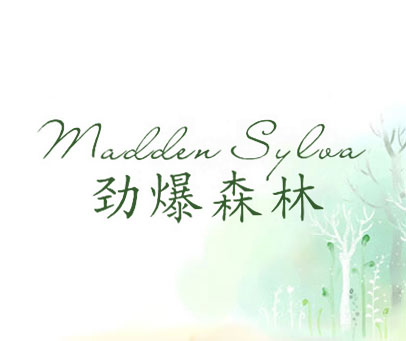 劲爆森林 MADDEN SYLVA