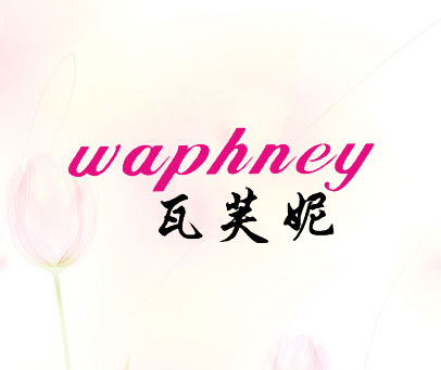 瓦芙妮 WAPHNEY