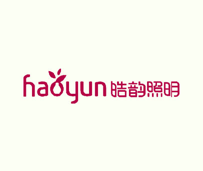 皓韵照明 HAOYUN