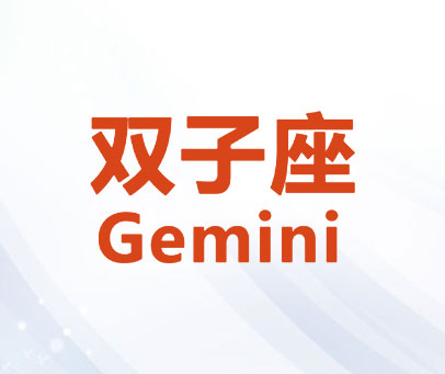 双子座 GEMINI