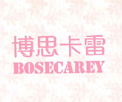 博思卡雷 BOSECAREY