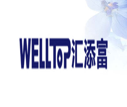 WELL TOP 汇添富