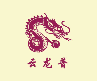云龙普