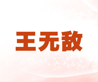 王无敌