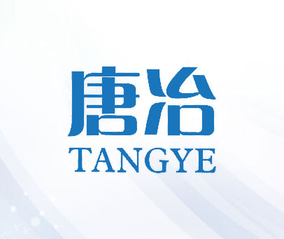 唐冶;TANG YE