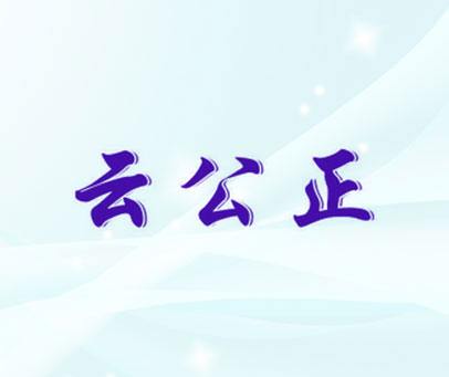 云公正