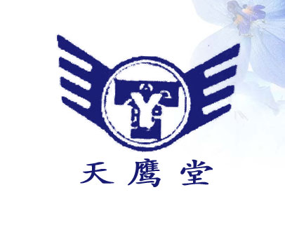 天鹰堂;TY