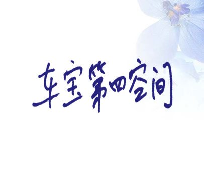 车宝第四空间
