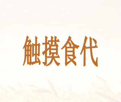 触摸食代