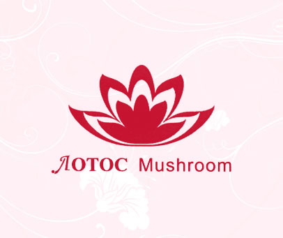 AOTOC MUSHROOM