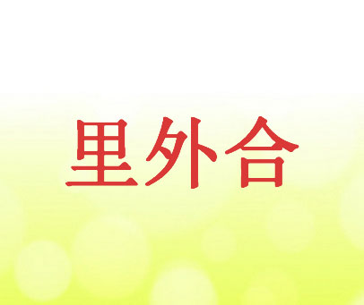 里外合