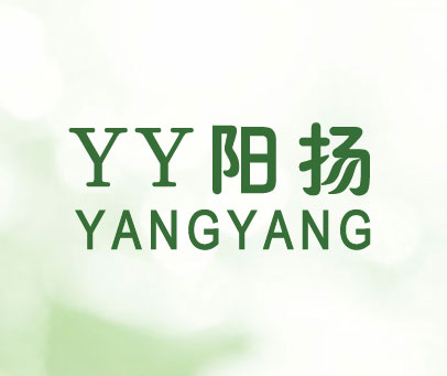 YY阳扬