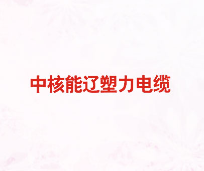 中核能辽塑力电缆