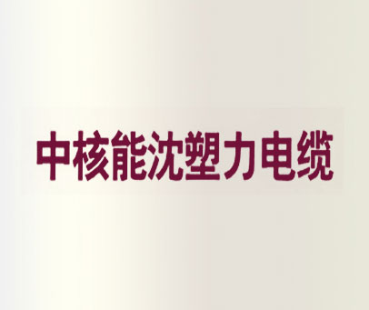 中核能沈塑力电缆