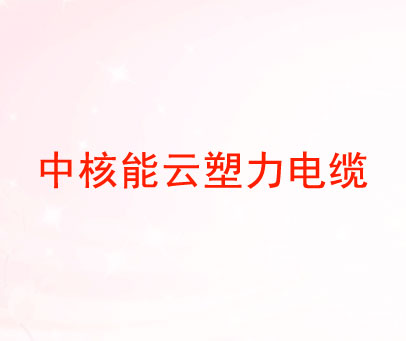 中核能云塑力电缆