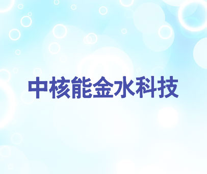 中核能金水科技