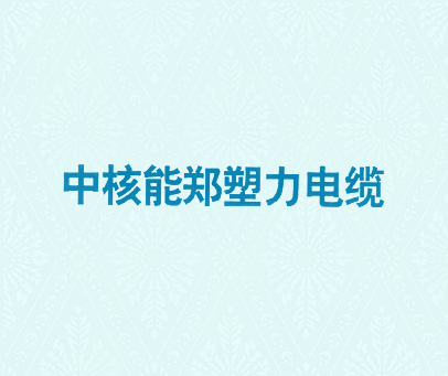 中核能郑塑力电缆
