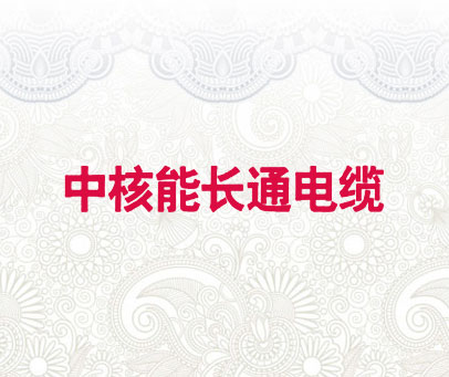 中核能长通电缆