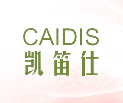凯笛仕 CAIDIS