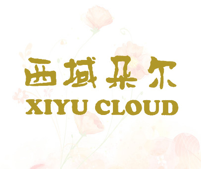 西域朵尔 XIYU CLOUD