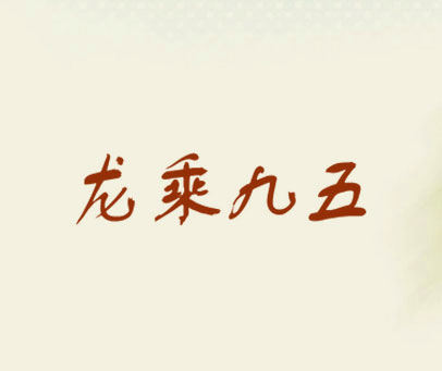 龙乘九五
