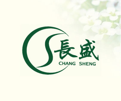 长盛 CS