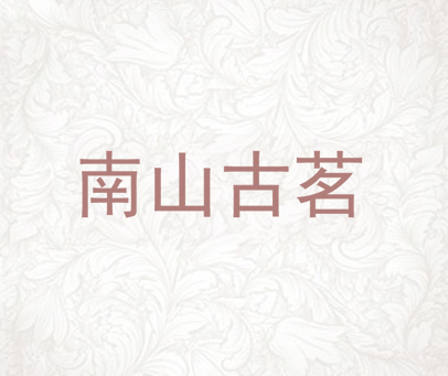 南山古茗