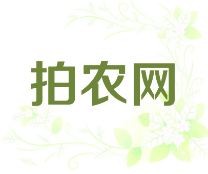 拍农网