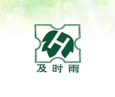 及时雨 H