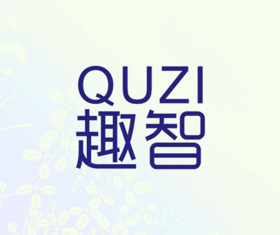 趣智 QUZI