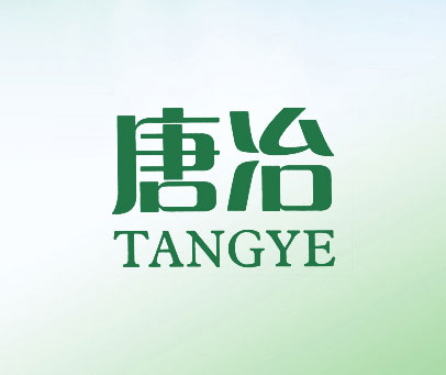 唐冶;TANG YE