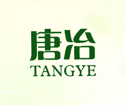 唐冶;TANG YE