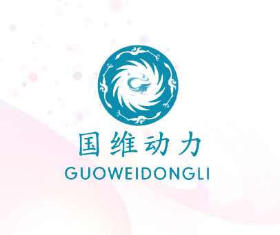 国维动力