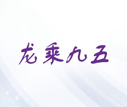 龙乘九五