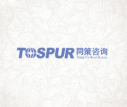 同策咨询 TOSPUR TONG CE REAL ESTATE