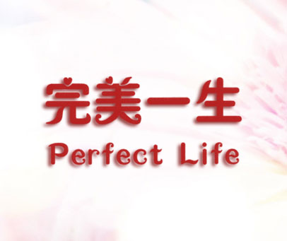 完美一生 PERFECT LIFE