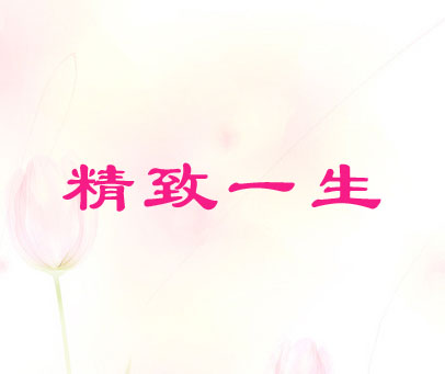 精致一生