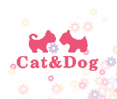 CAT DOG