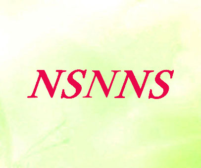 NSNNS