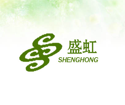 盛虹;SHENG HONG