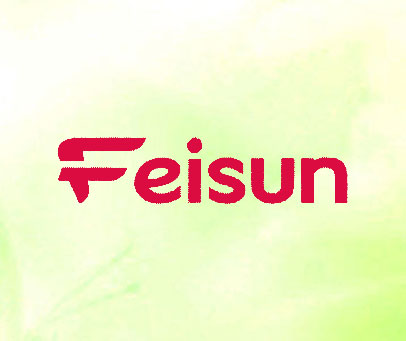 FEISUN